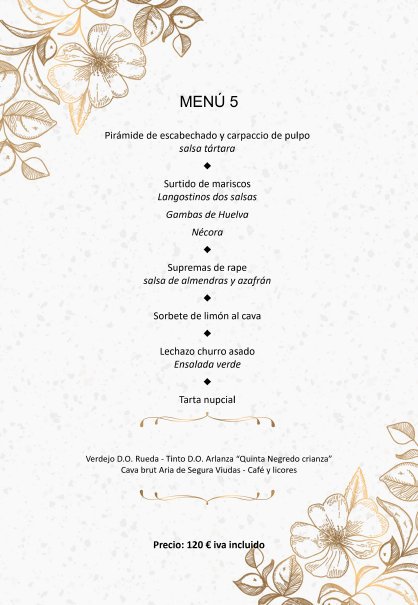 2hotelcastillavieja012010.jpg