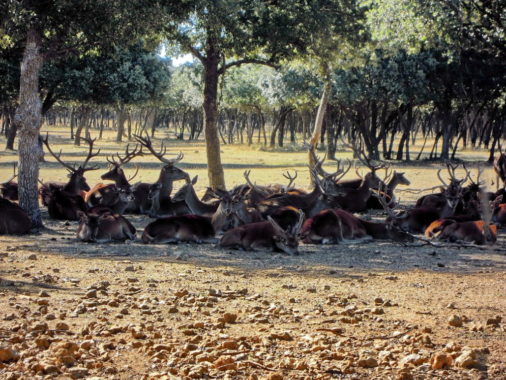 lugaresdeinterespalencia015005.jpg